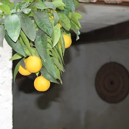 Bed & Breakfast Danonna Ittiri
