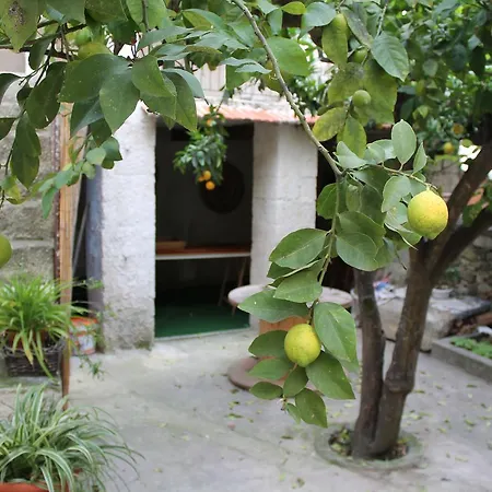 فندق مبيت وإفطار Danonna