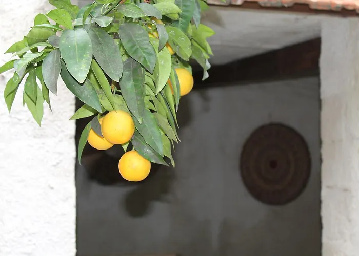 Couette-café Danonna Ittiri