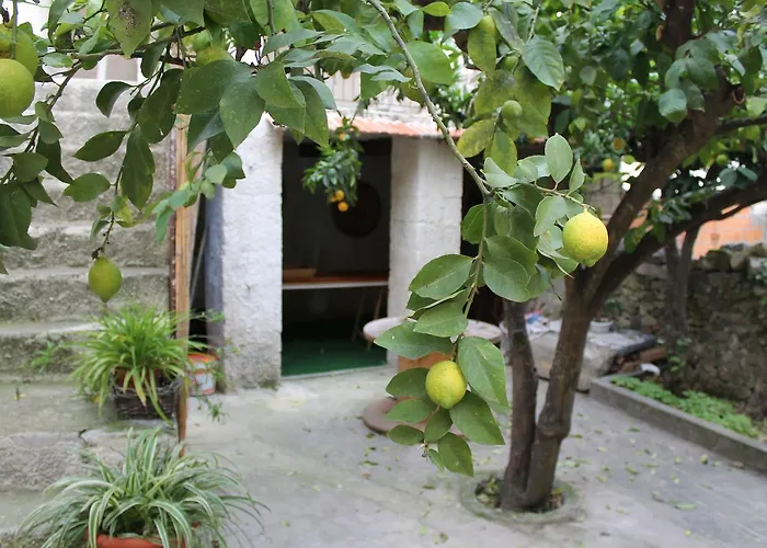 Alojamento de Acomodação e Pequeno-almoço Danonna